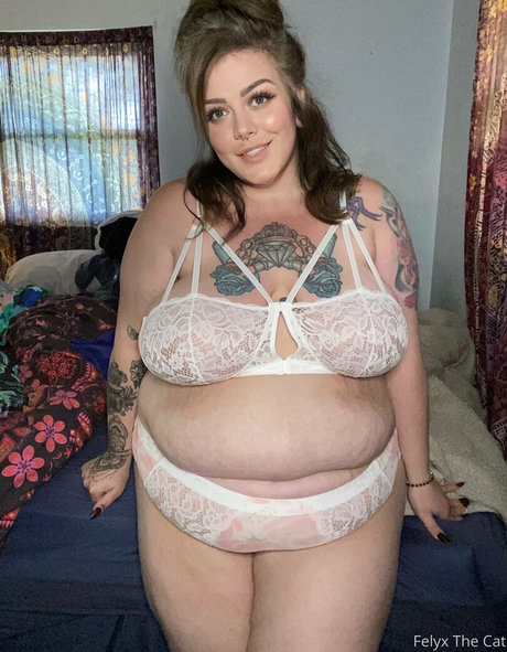 felyxthecat perfect star photos