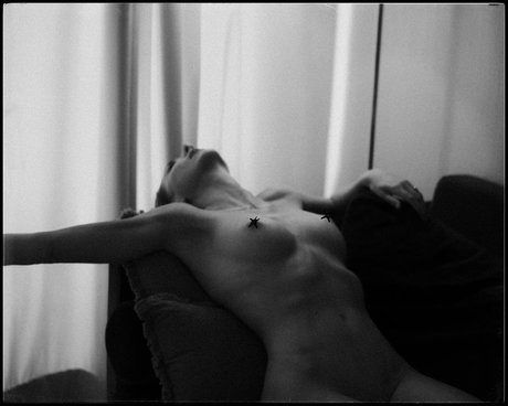 Niki Anson pretty pornstar picture