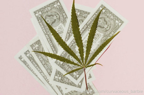 curvaceous barbie pornstar pretty archive