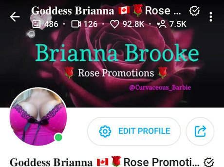 curvaceous barbie top model galleries