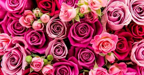 mzcourtneycummz art pornstar gallery