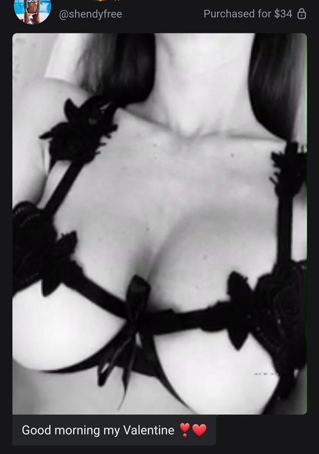 Sasha Shenderey pornstar erotic gallery