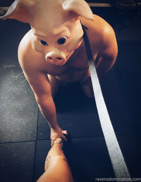 immistressraven star exclusive archive