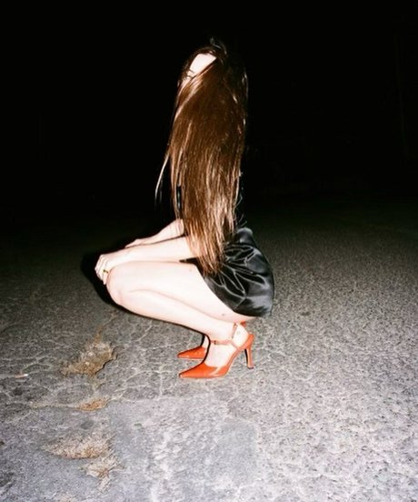 Scout Willis nice pornstar gallery