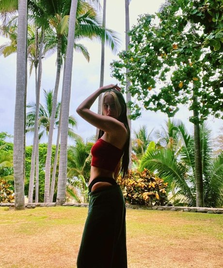 Scout Willis star hd image