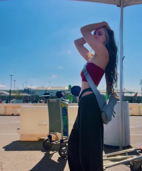 Scout Willis thumbnail