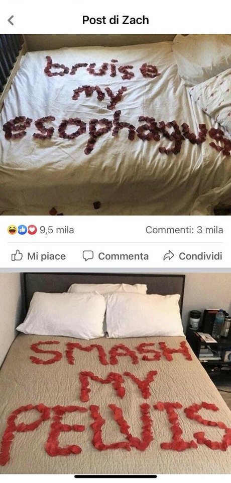 erszebetbathory666vip hot pornstar galleries