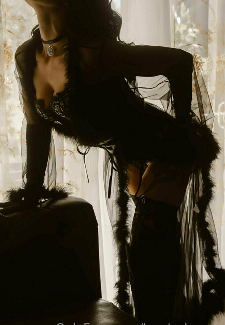 logsterbunny high quality star pictures