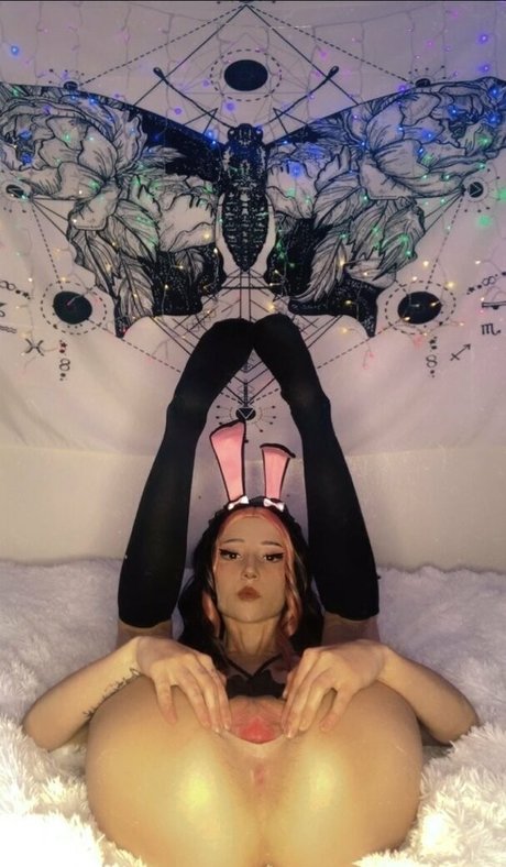 nerdboners pornstar perfect gallery