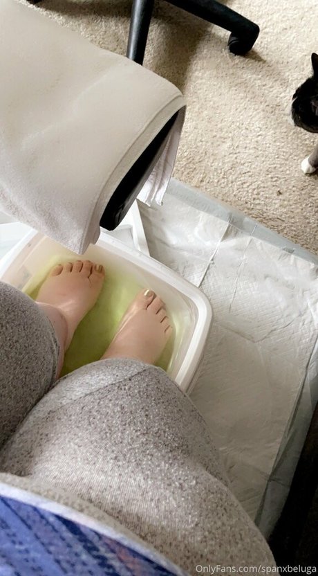 spanxbeluga top pornstar pic