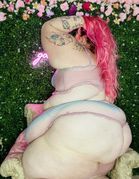 spanxbeluga best star galleries