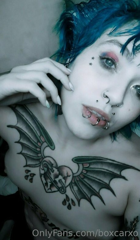 Boxcarxo beautiful pornstar gallery