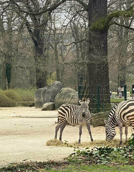 banana69split pornstar beautiful gallery