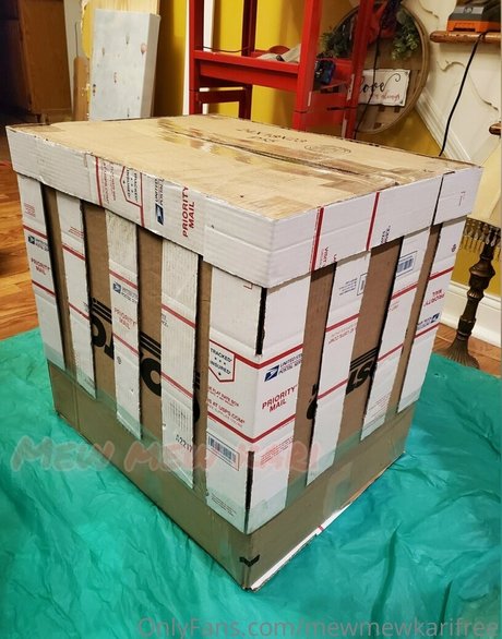 mewmewkarifree adult star photo