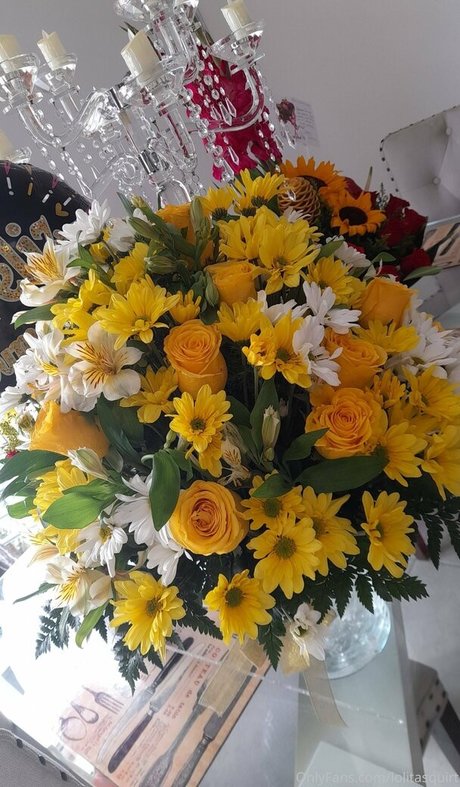 lolitasquirt adult actress pic