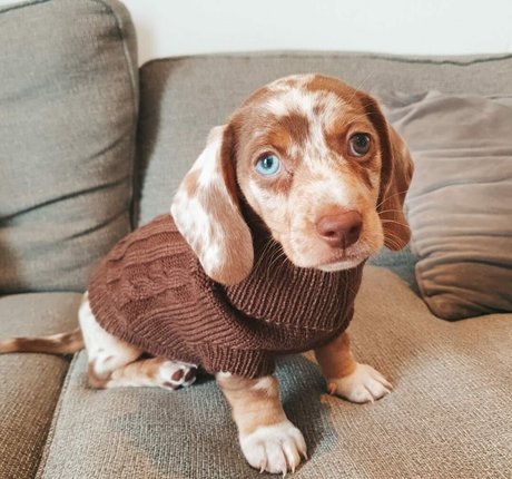 Coco Lodge naked model images