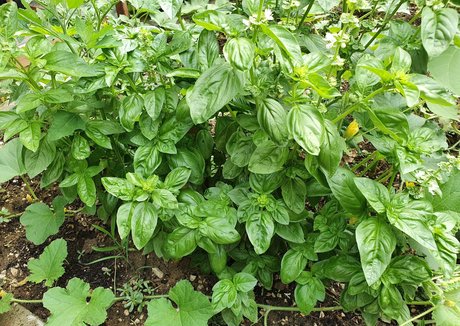 kathianobilixx star galleries