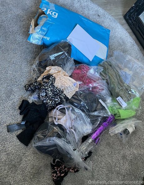 sandrareiche star naked pics