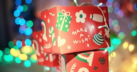 th cellox star adult photo