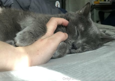 couldshouldwood model archive