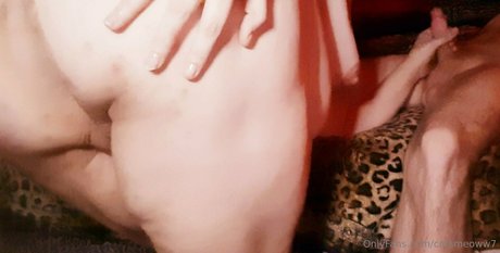 catsmeoww7 model free archive
