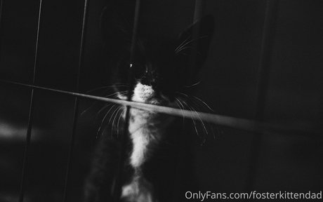 fosterkittendad hot model image