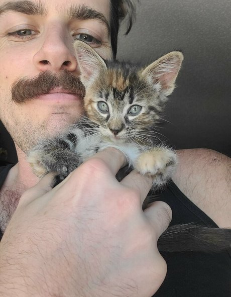 fosterkittendad high quality actress gallery