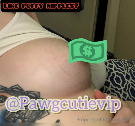 pawgcutie1 xxx actress images