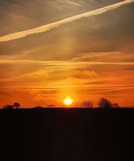 Natasha Thomsen hd actress pics