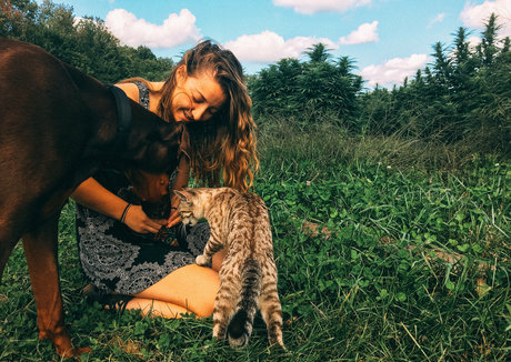 danceincannabis pornstar top photo