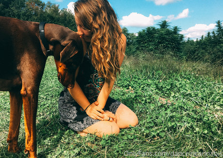 danceincannabis pornstar adult galleries