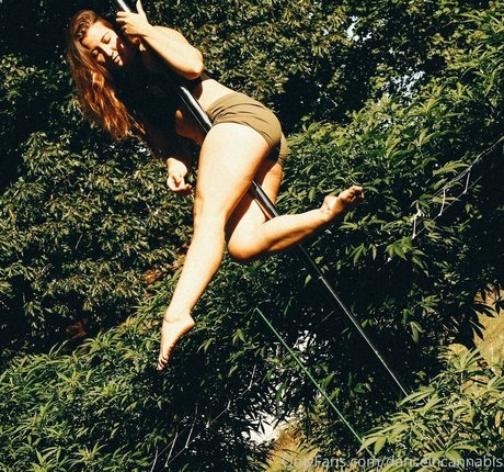 danceincannabis star xxx pics