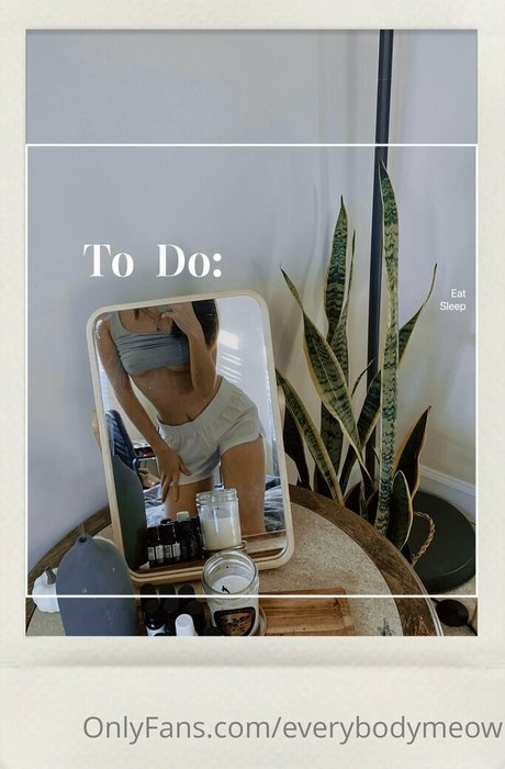 everybodymeow xxx star pic