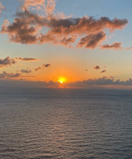 Anah Elisa pornographic star gallery