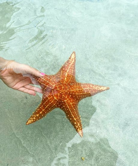 Dana Sartov beautiful star picture