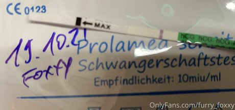 furry foxxy sex star images