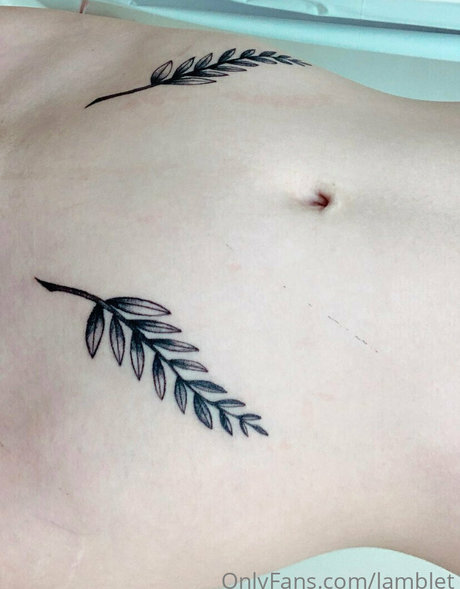 lamblet model perfect image