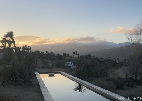 rose la reine sex actress img