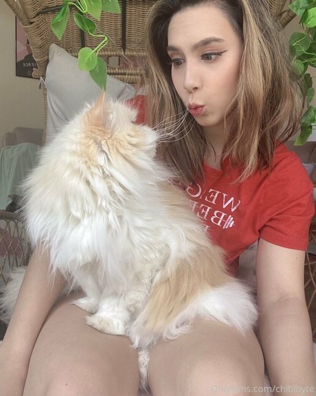 chibibyte high quality star photos