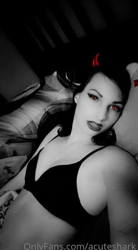 acuteshark exclusive star img