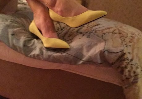 arielanderssen xxx pornstar image