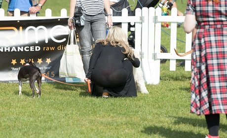 Meg Matthews free pornstar pics