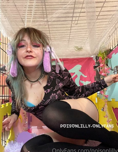 poisonlilly perfect pornstar archive