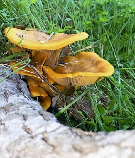 Amethyst Franklin erotic pornstar pics