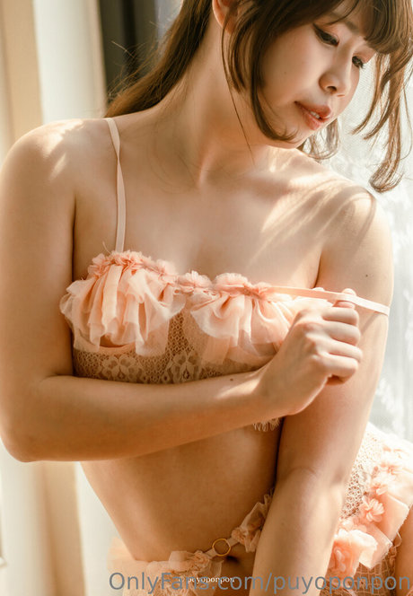 puyoponpon model top img