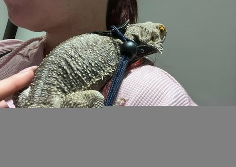 cultofjess hot actress pictures