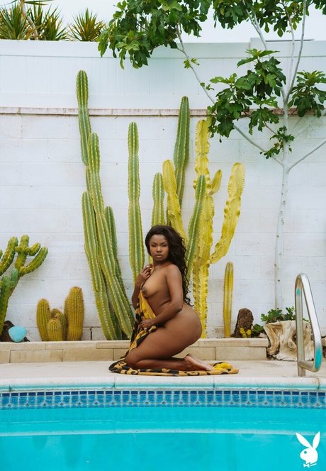 Aziza pornstar art pictures