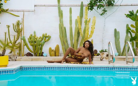 Aziza pornstar art photo