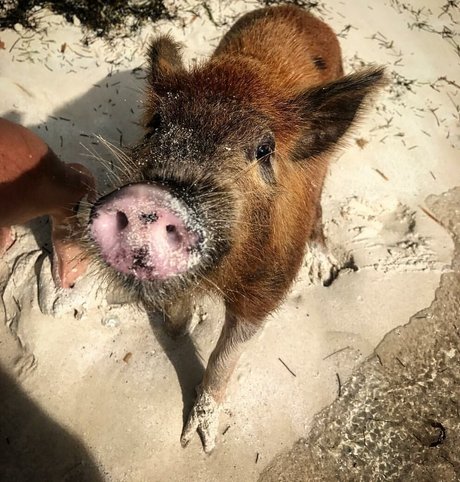 Jenna Ashley model exclusive picture