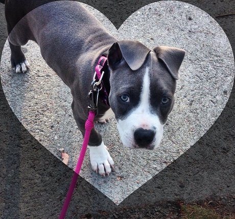 Jenna Ashley pornographic model photos